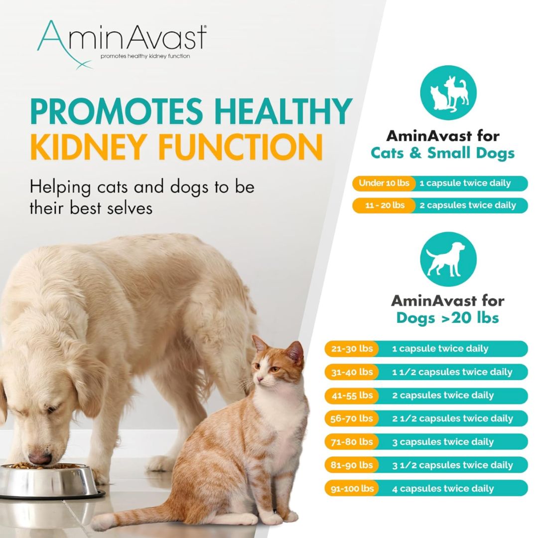 AminAvast Cats & Dogs Kidney Support Supplement