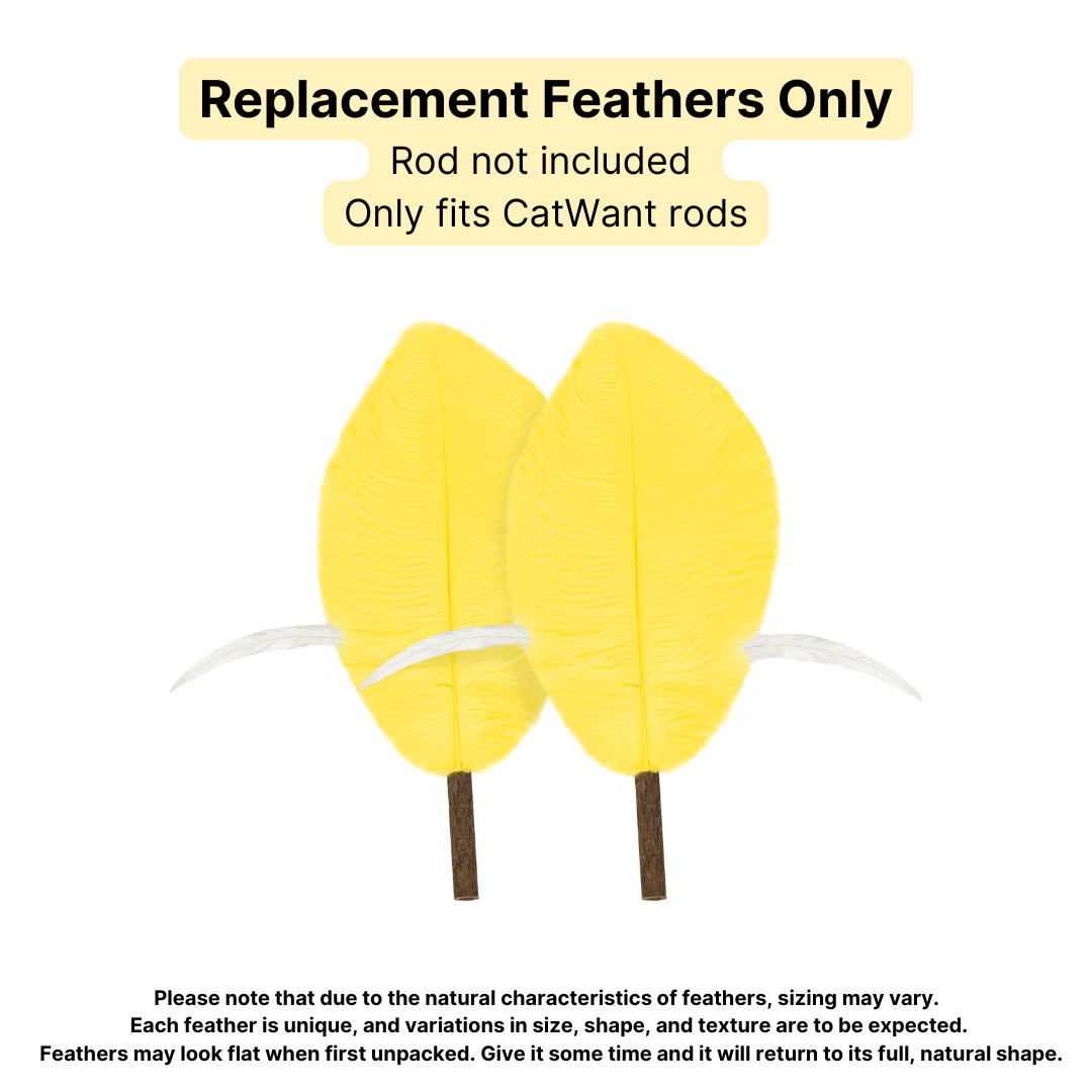 CatWant Jumbo Cat Teaser Head Feather Replacement Packs