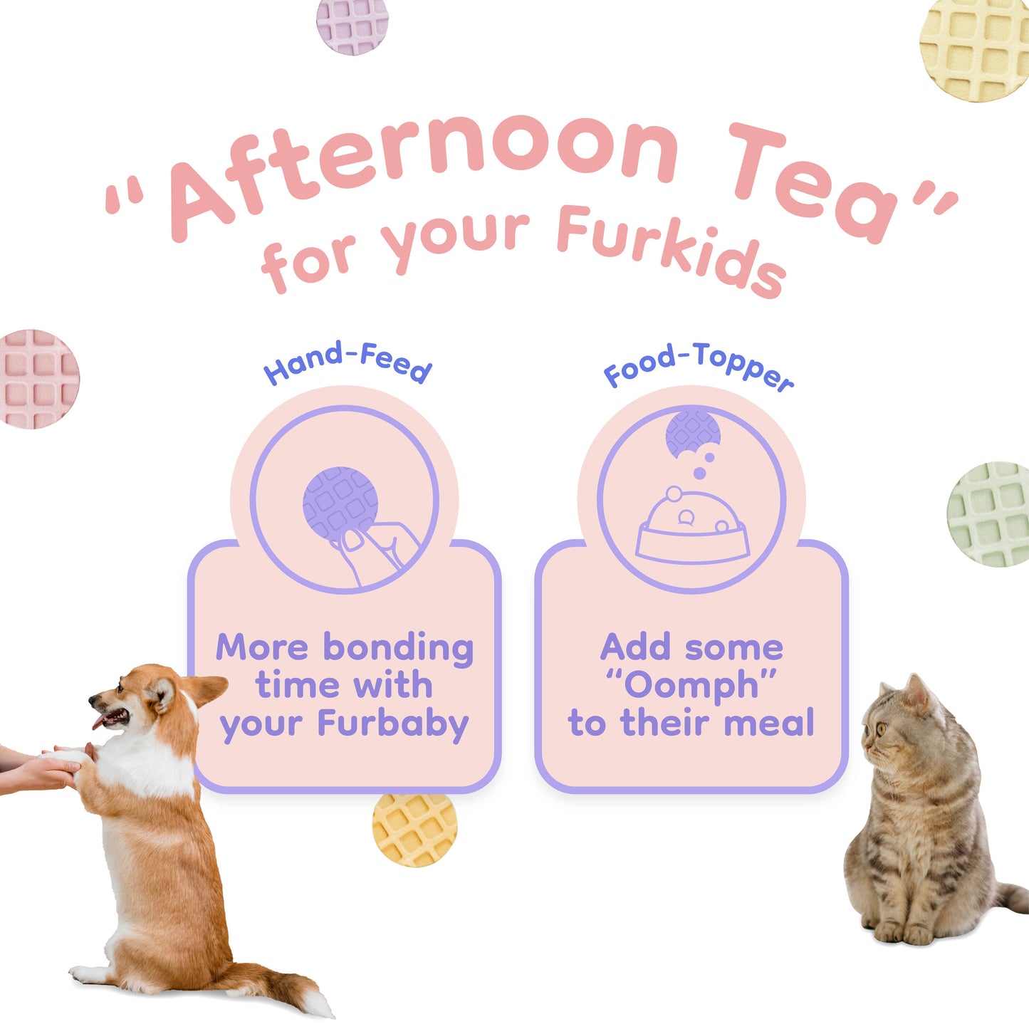 Singapaw Waffle Freeze Dried Chicken Dessert Cat & Dog Treats