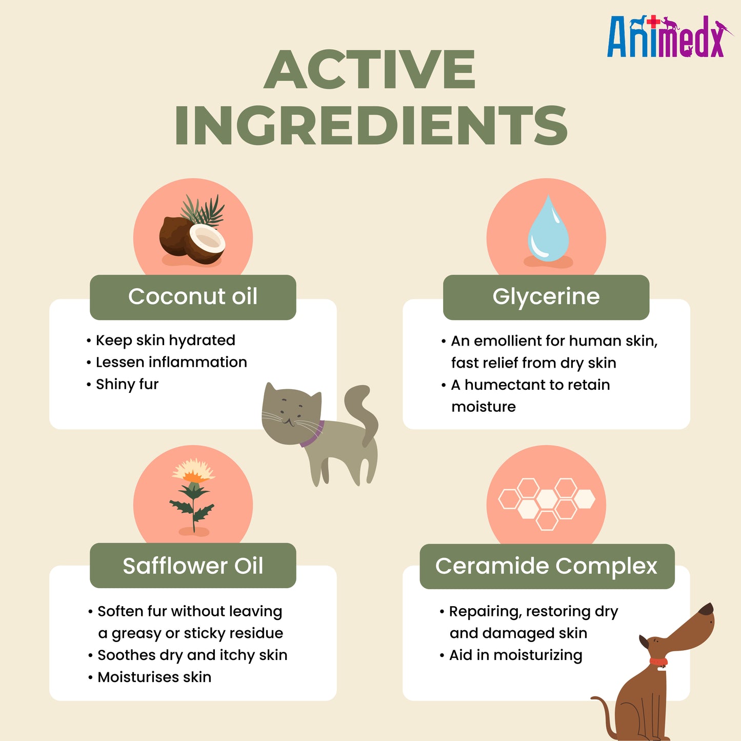 Animedx Hypoallergenic Coconut Oil Pet Shampoo