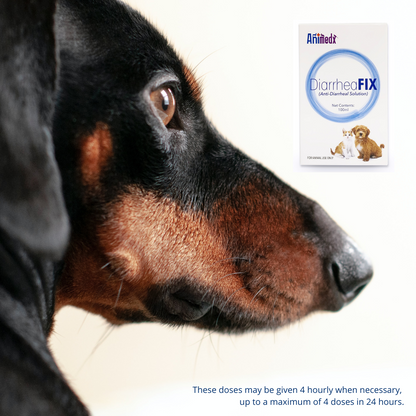 Animedx DiarrheaFIX Pet Diarrhea Relief Digestive Support