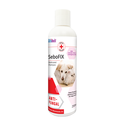 Animedx SeboFIX Anti-Fungal & Anti-Bacterial Medicated Pet Shampoo