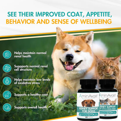AminAvast Cats & Dogs Kidney Support Supplement