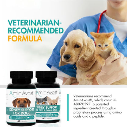 AminAvast Cats & Dogs Kidney Support Supplement
