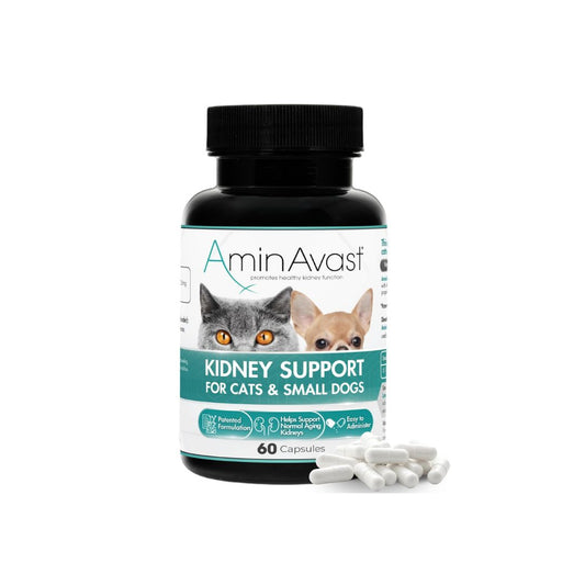 AminAvast Cats & Dogs Kidney Support Supplement