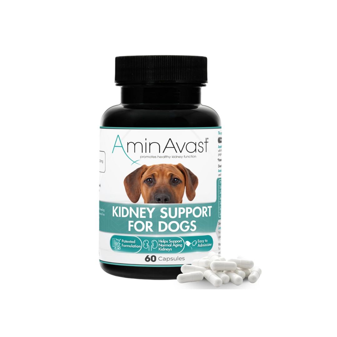 AminAvast Cats & Dogs Kidney Support Supplement