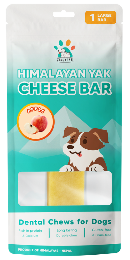 Singapaw Himalayan Yak Cheese Bar Dental Chew for Dogs