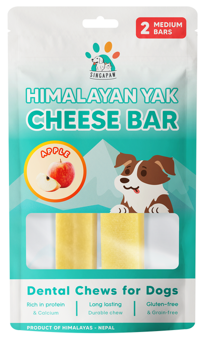 Singapaw Himalayan Yak Cheese Bar Dental Chew for Dogs