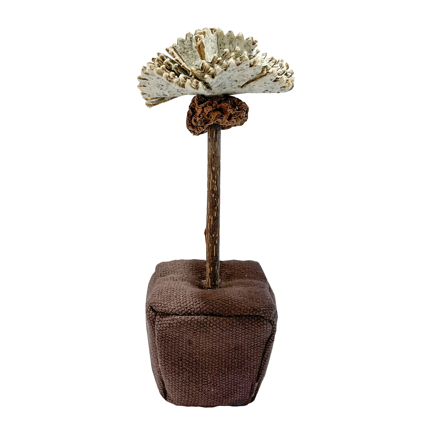 CatWant Catnip Paper Flowers Silvervine Stick Cat Toy