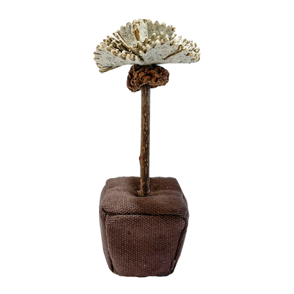 CatWant Catnip Paper Flowers Silvervine Stick Cat Toy