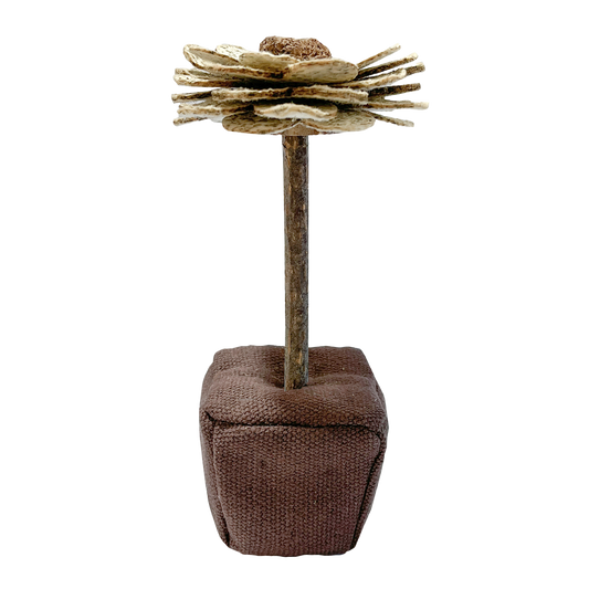 CatWant Catnip Paper Flowers Silvervine Stick Cat Toy