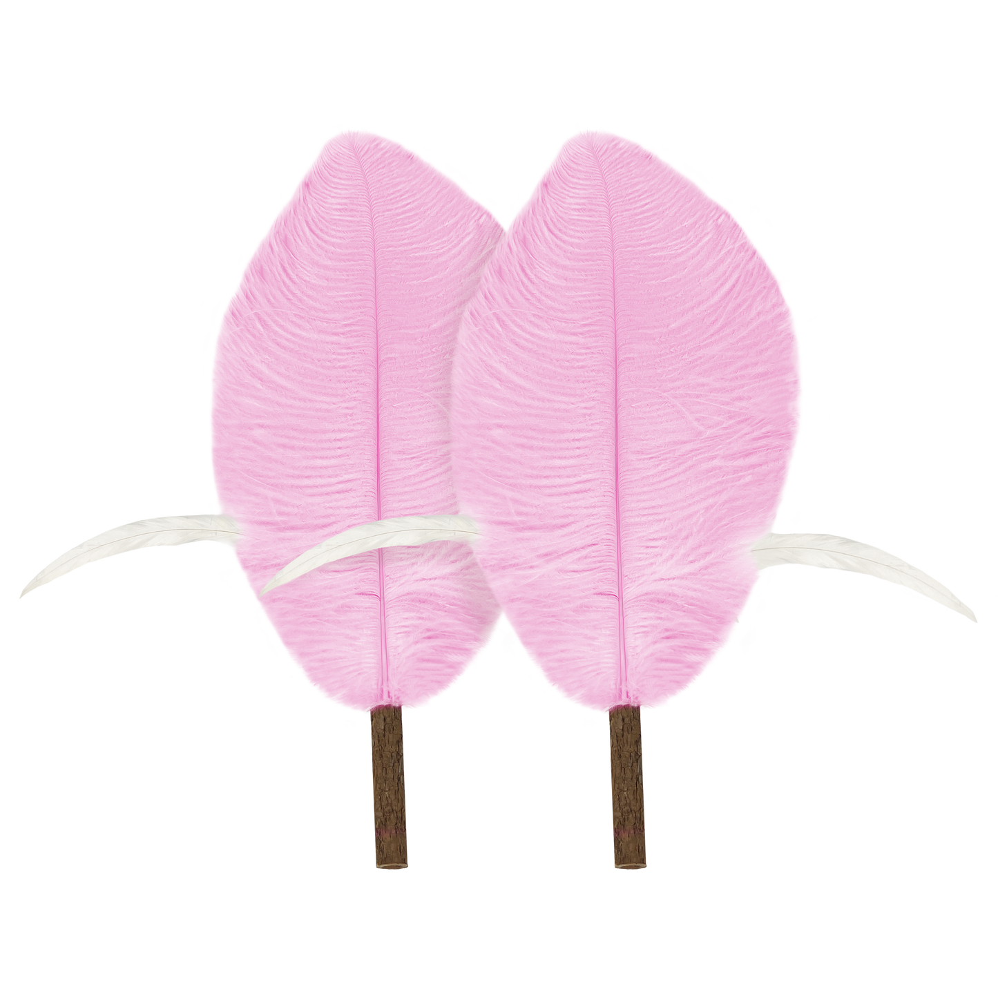 CatWant Jumbo Cat Teaser Head Feather Replacement Packs