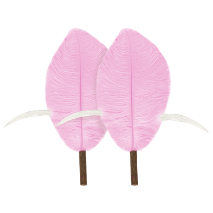 CatWant Jumbo Cat Teaser Head Feather Replacement Packs