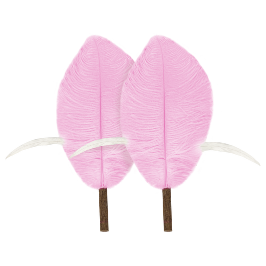 CatWant Jumbo Cat Teaser Head Feather Replacement Packs