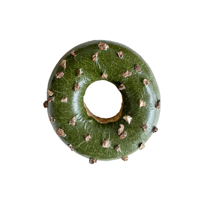 CatWant Silvervine Donut Cat Toy