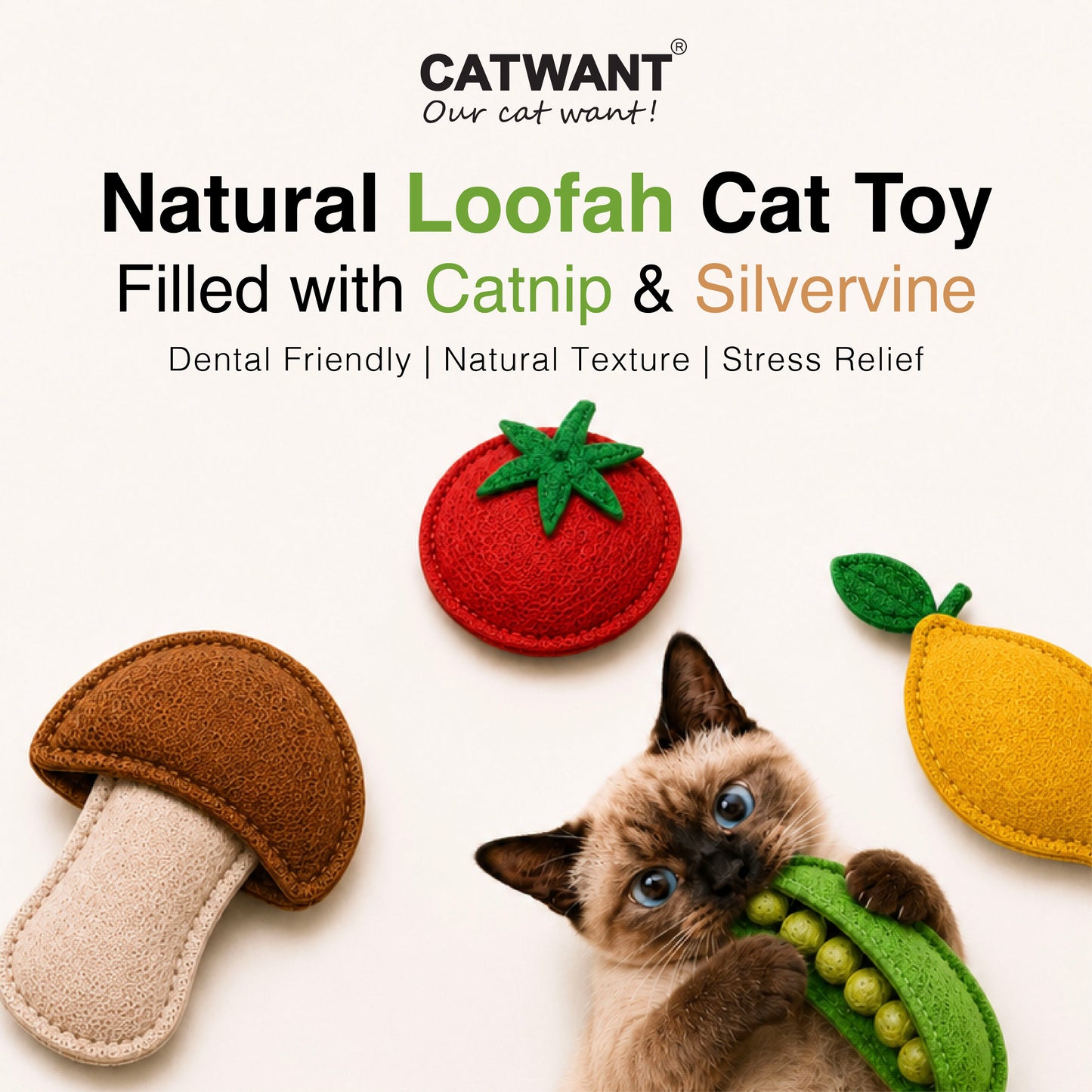 CatWant Natural Loofah Catnip Silvervine Cat Toy