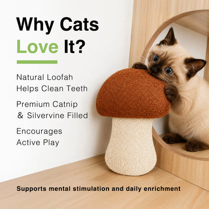 CatWant Natural Loofah Catnip Silvervine Cat Toy