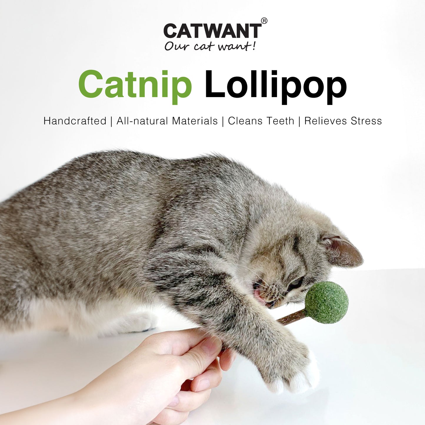 CatWant Catnip Lollipop Silvervine Dental Stick Cat Toy