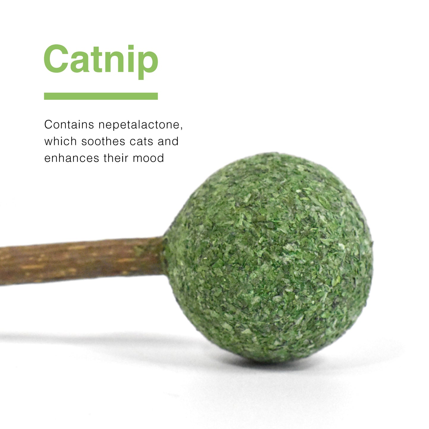 CatWant Catnip Lollipop Silvervine Dental Stick Cat Toy