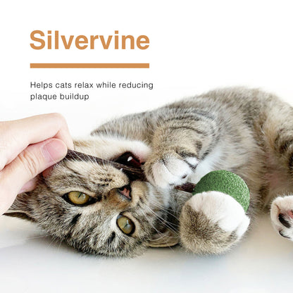 CatWant Catnip Lollipop Silvervine Dental Stick Cat Toy
