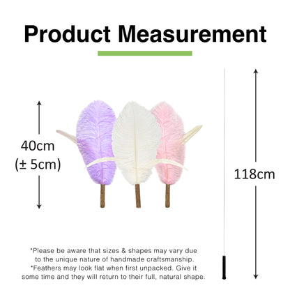 CatWant Jumbo Silvervine with Real Ostrich Pheasant Feathers Cat Teaser