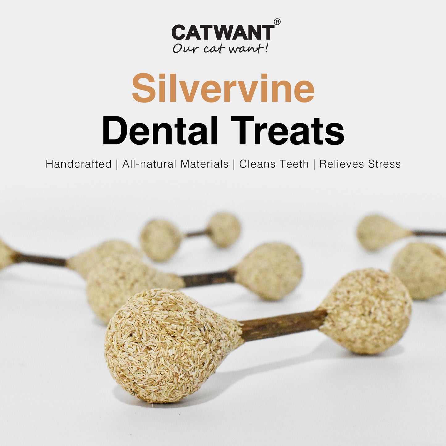 CatWant Dental Treatment Silvervine Stick Cat Toy