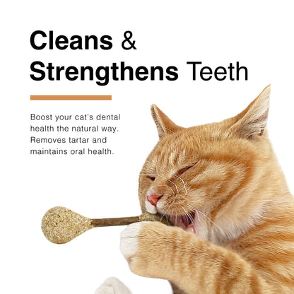 CatWant Dental Treatment Silvervine Stick Cat Toy