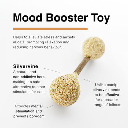 CatWant Dental Treatment Silvervine Stick Cat Toy