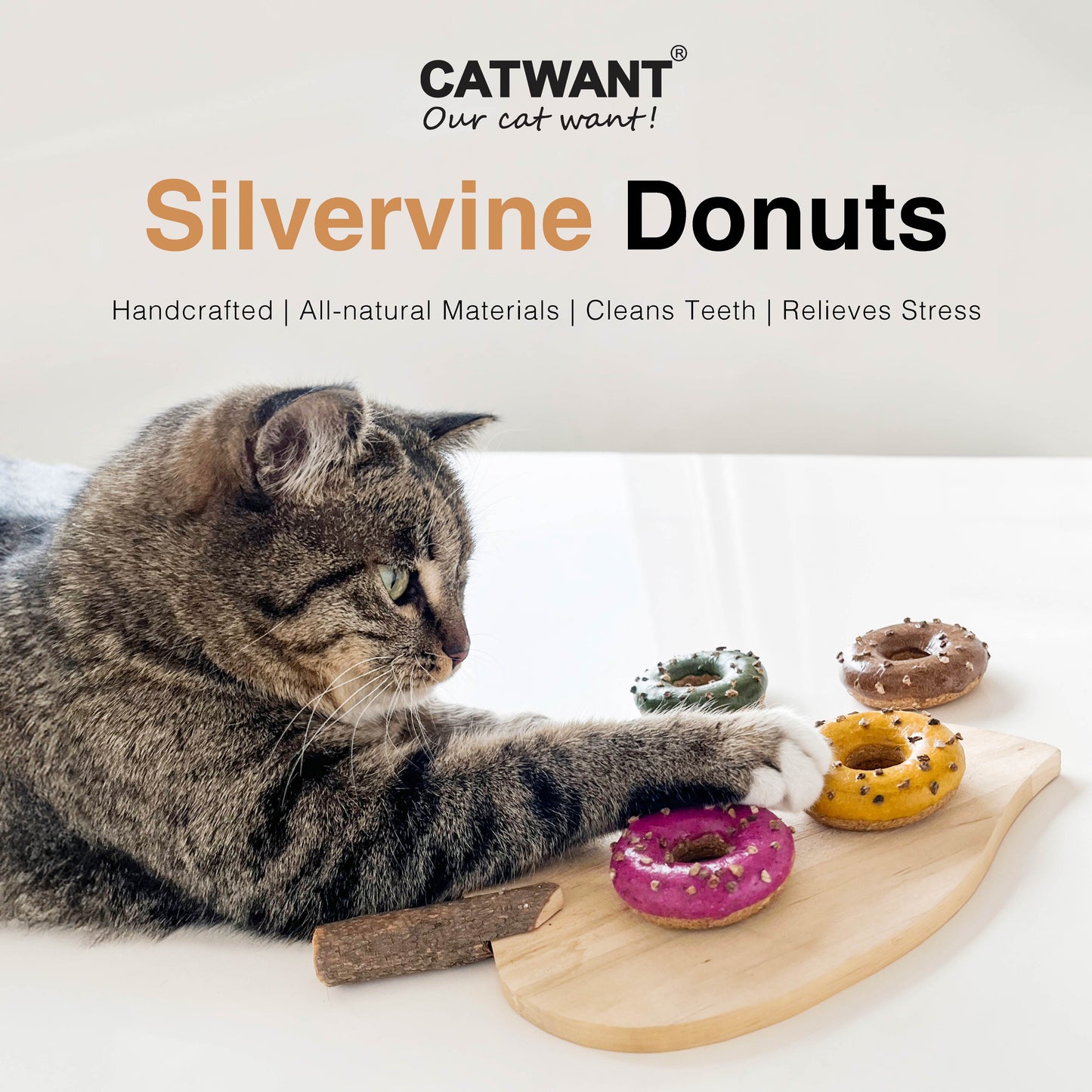 CatWant Silvervine Donut Cat Toy