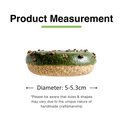 CatWant Silvervine Donut Cat Toy