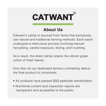 CatWant Jumbo Silvervine with Real Ostrich Pheasant Feathers Cat Teaser