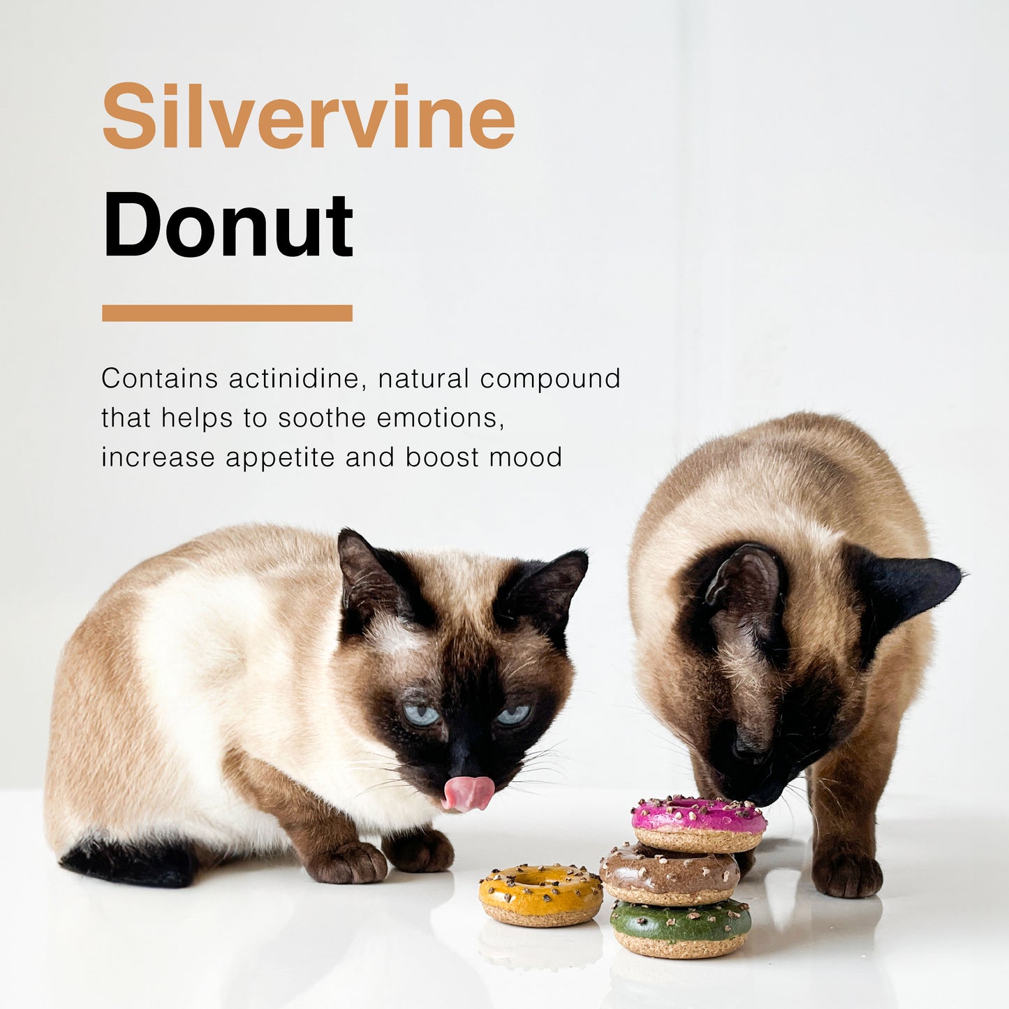 CatWant Silvervine Donut Cat Toy