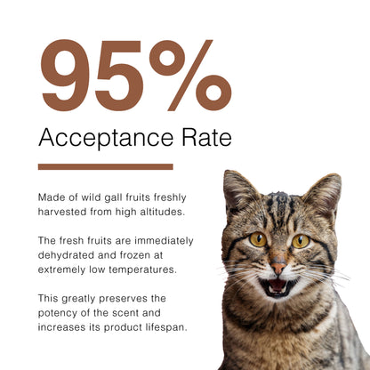 CatWant Turkey Feather Silvervine Gall Fruit Shuttlecock Cat Toy