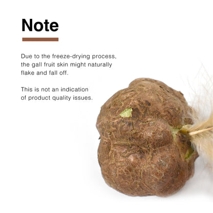 CatWant Turkey Feather Silvervine Gall Fruit Shuttlecock Cat Toy