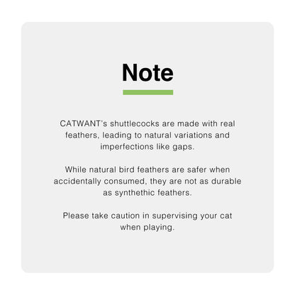 CatWant Turkey Feather Silvervine Gall Fruit Shuttlecock Cat Toy