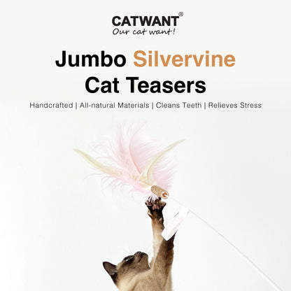 CatWant Jumbo Silvervine with Real Ostrich Pheasant Feathers Cat Teaser