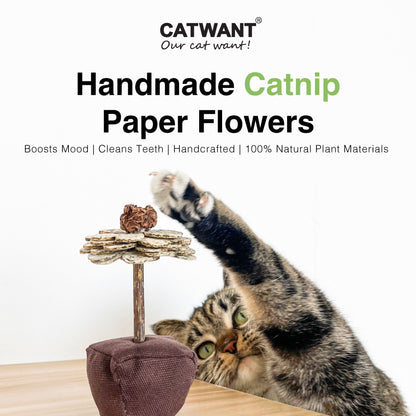 CatWant Catnip Paper Flowers Silvervine Stick Cat Toy