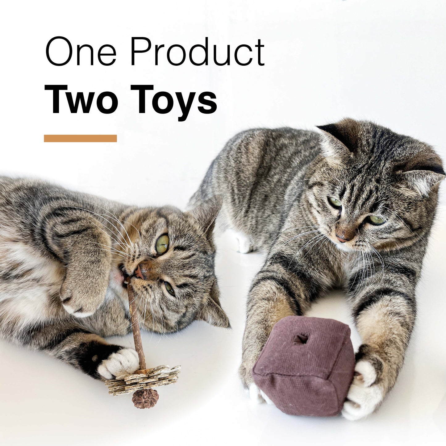 CatWant Catnip Paper Flowers Silvervine Stick Cat Toy