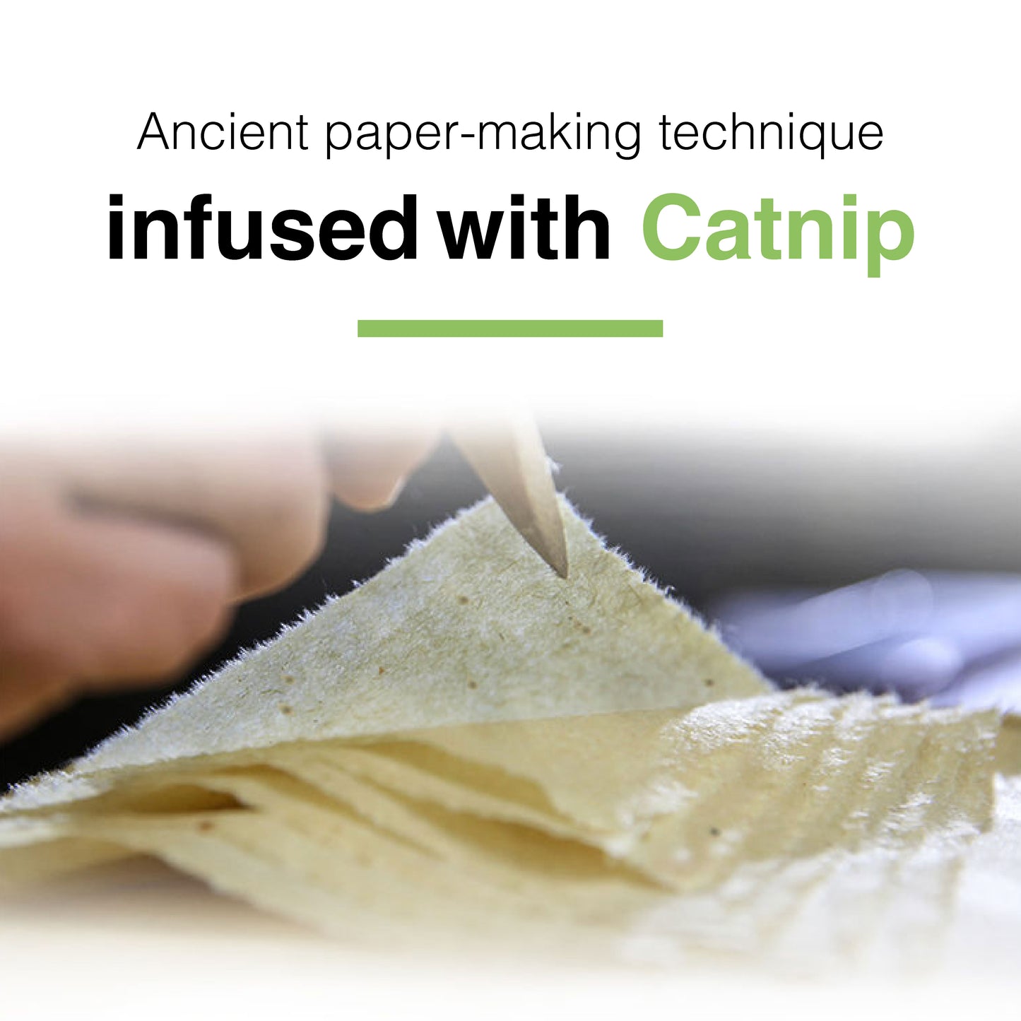 CatWant Catnip Paper Flowers Silvervine Stick Cat Toy