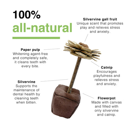 CatWant Catnip Paper Flowers Silvervine Stick Cat Toy