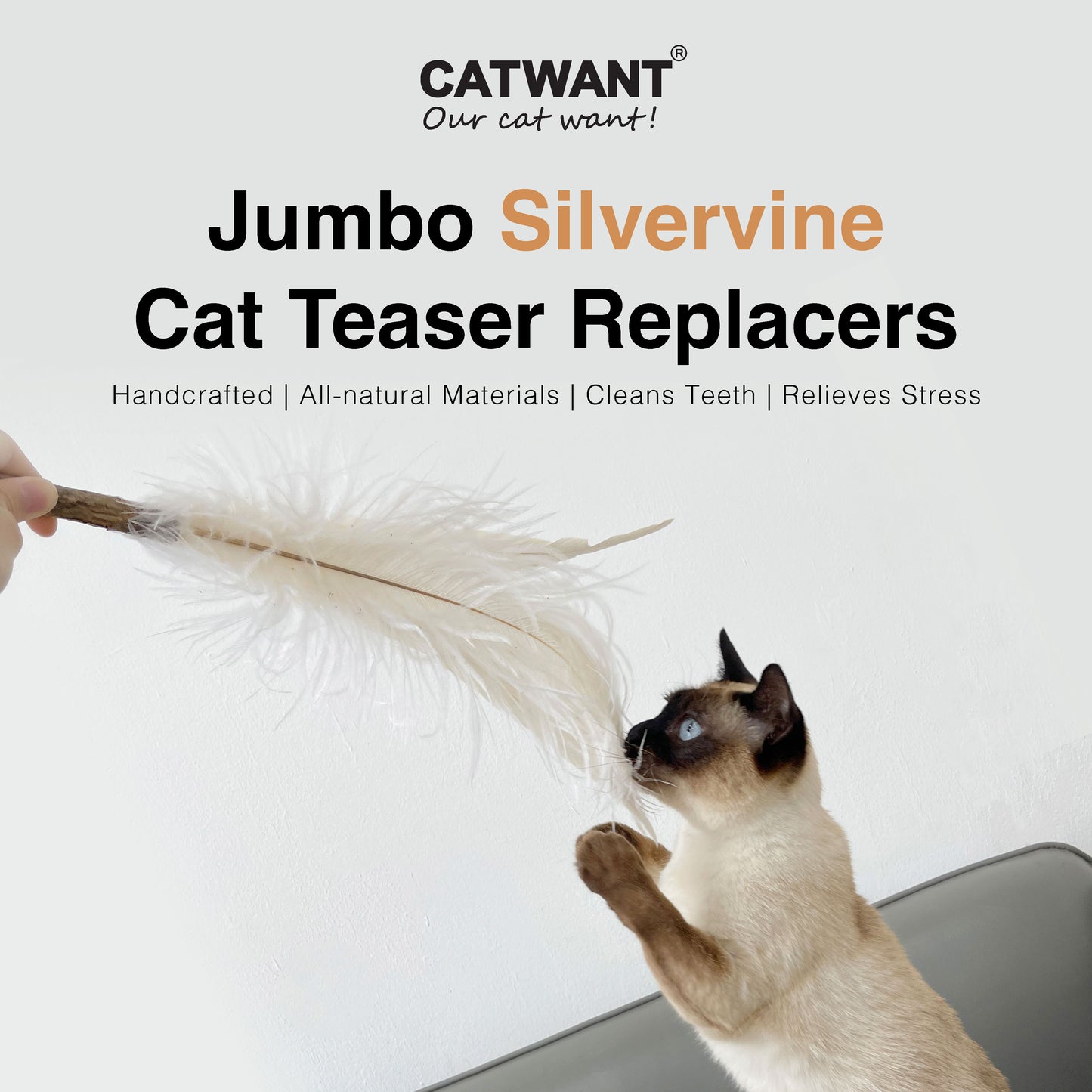 CatWant Jumbo Cat Teaser Head Feather Replacement Packs