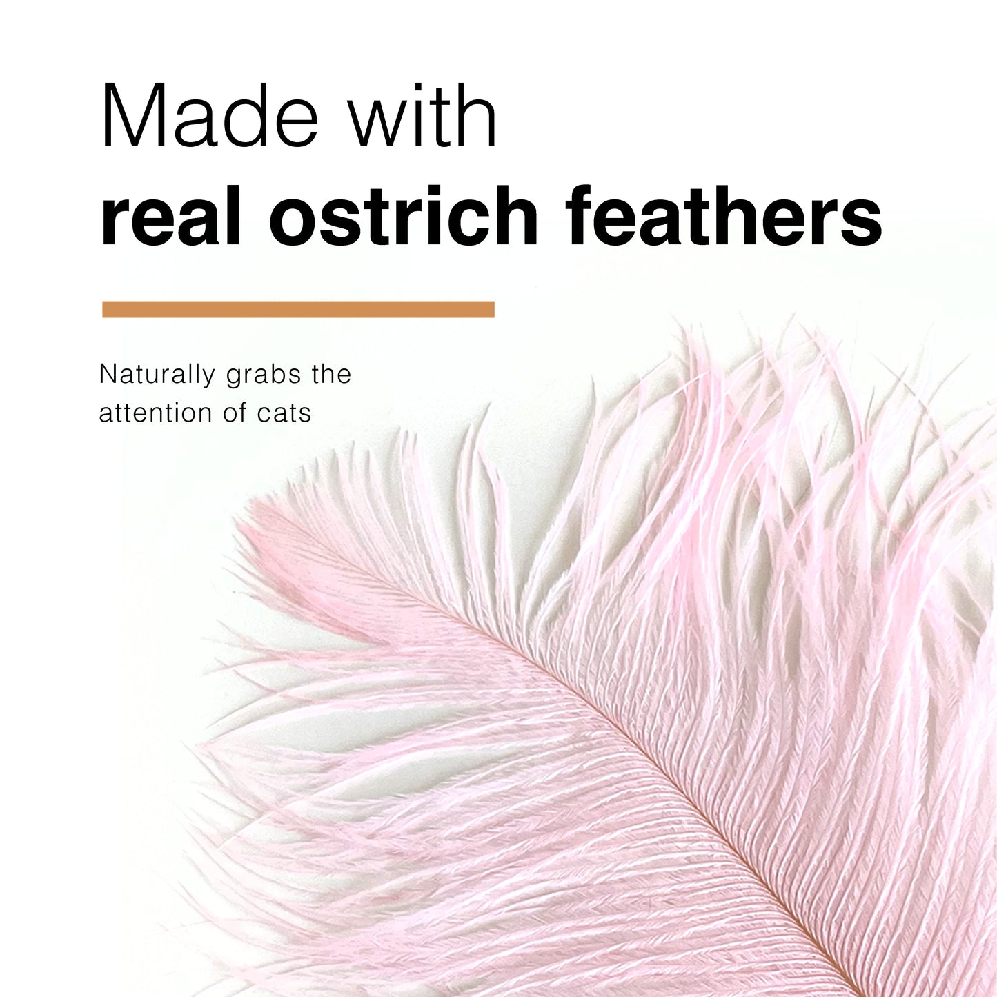 CatWant Jumbo Cat Teaser Head Feather Replacement Packs