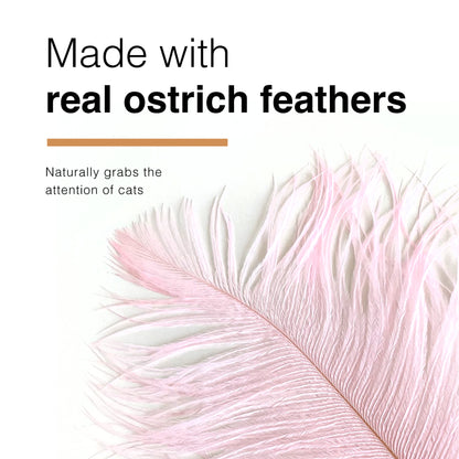 CatWant Jumbo Cat Teaser Head Feather Replacement Packs