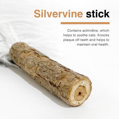 CatWant Jumbo Cat Teaser Head Feather Replacement Packs