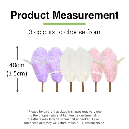 CatWant Jumbo Cat Teaser Head Feather Replacement Packs