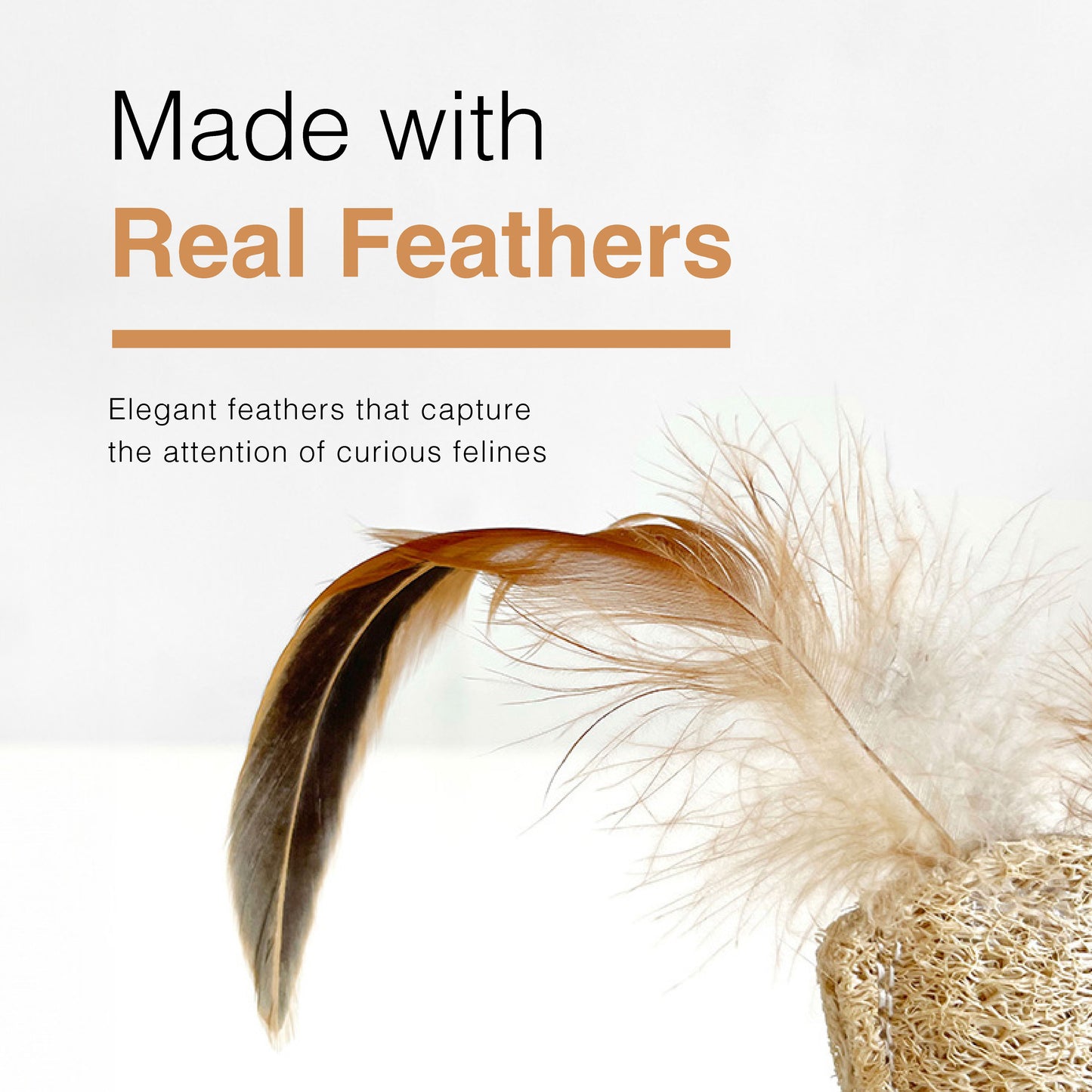CatWant Feather Silvervine Gall Fruit Tumbler Cat Toy