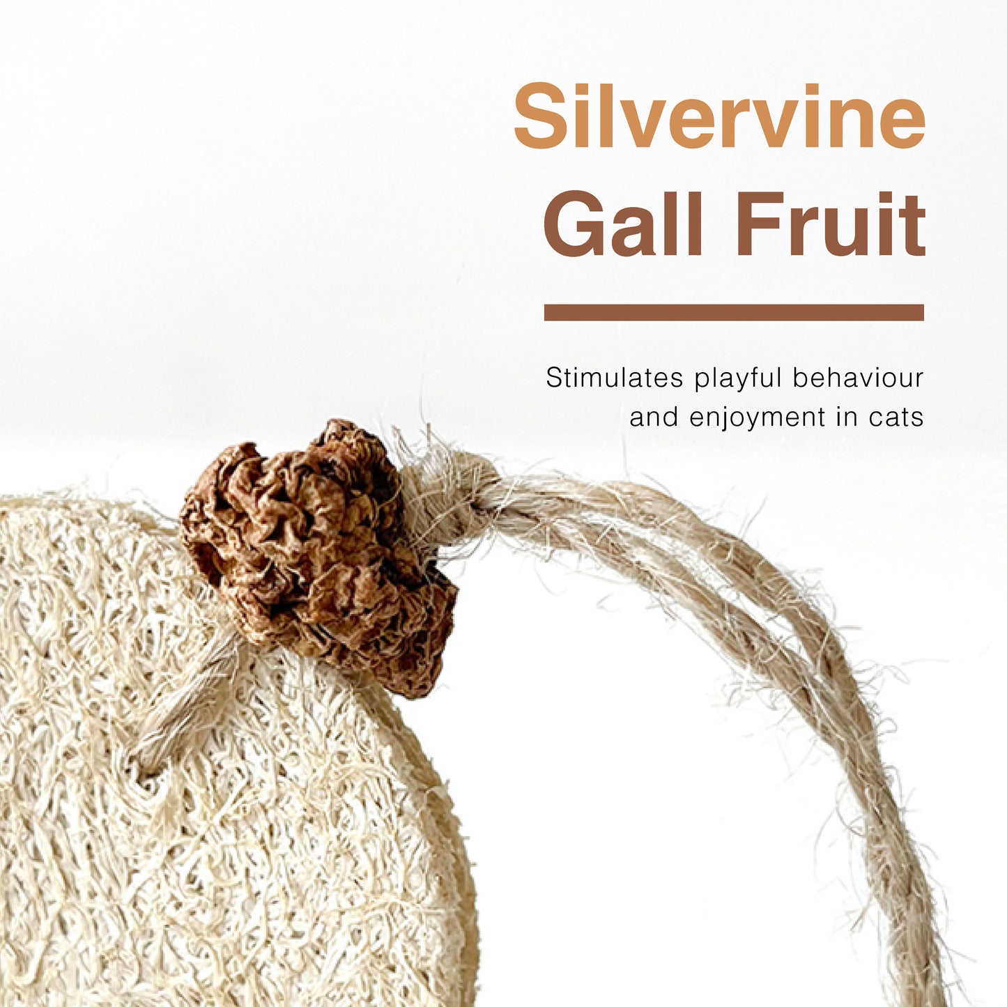 CatWant Feather Silvervine Gall Fruit Tumbler Cat Toy