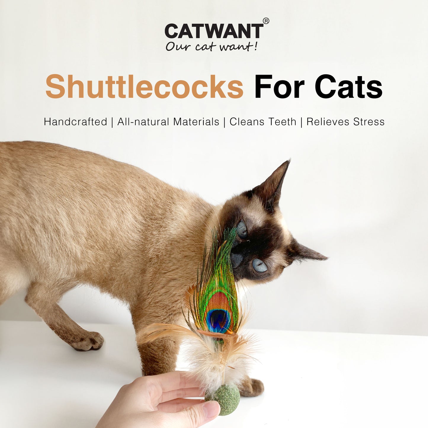 CatWant Silvervine Catnip Feather Shuttlecock Ball Cat Toy