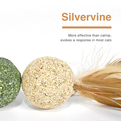CatWant Silvervine Catnip Feather Shuttlecock Ball Cat Toy