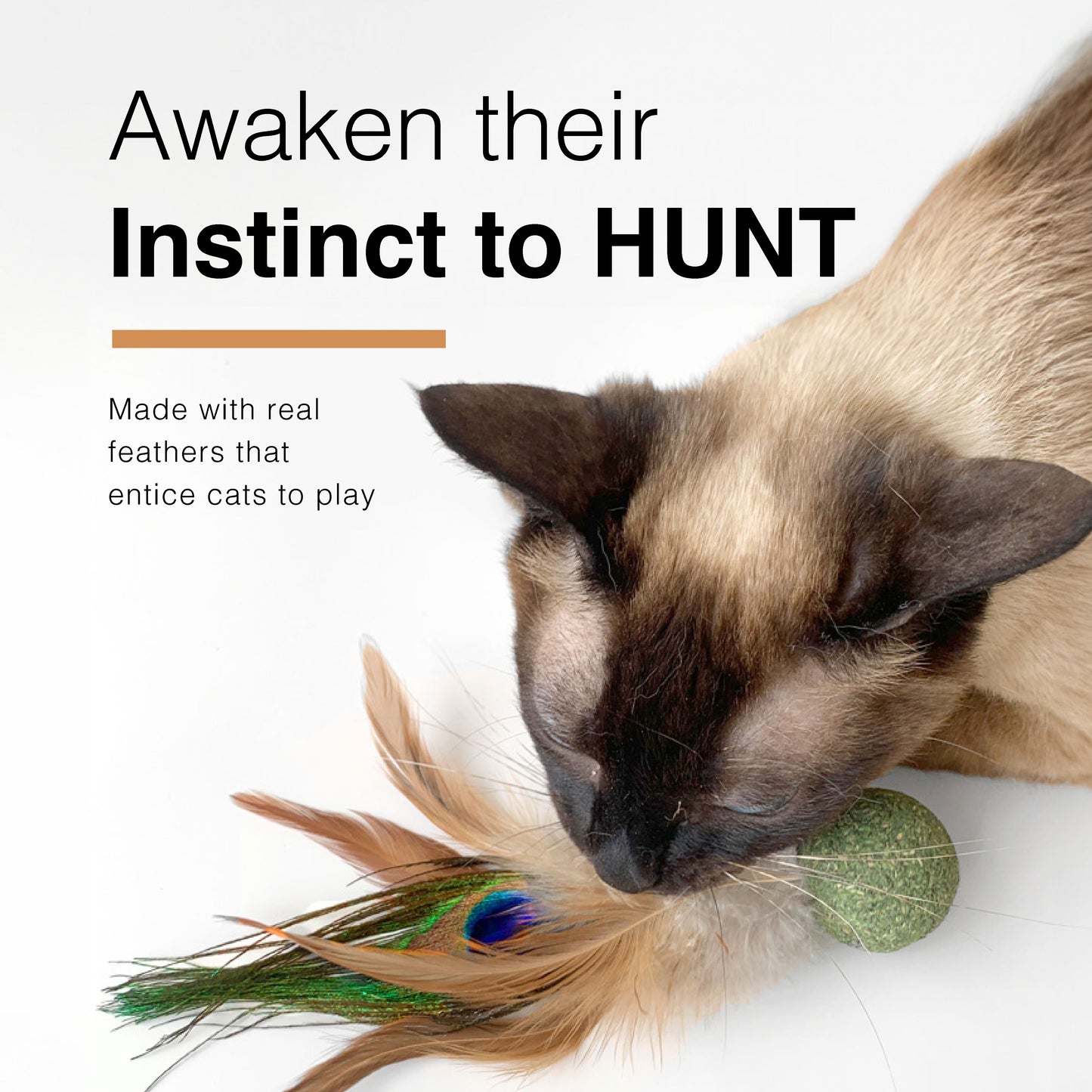 CatWant Silvervine Catnip Feather Shuttlecock Ball Cat Toy